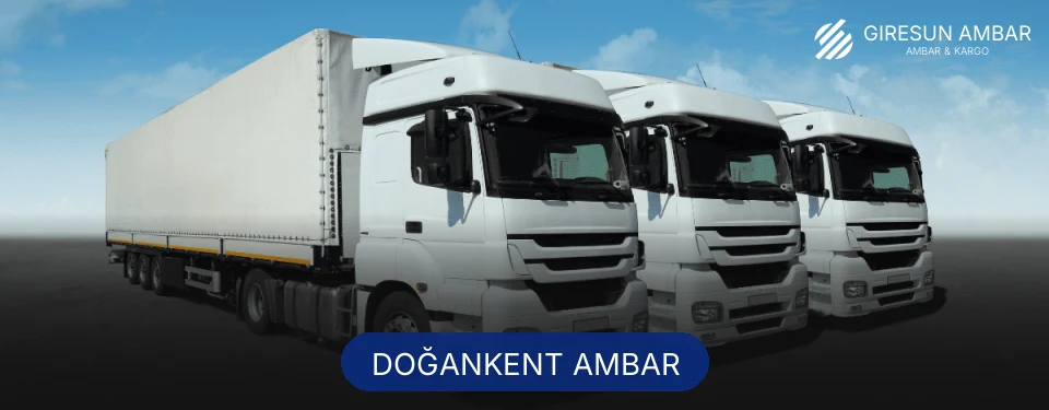 Doğankent Ambar